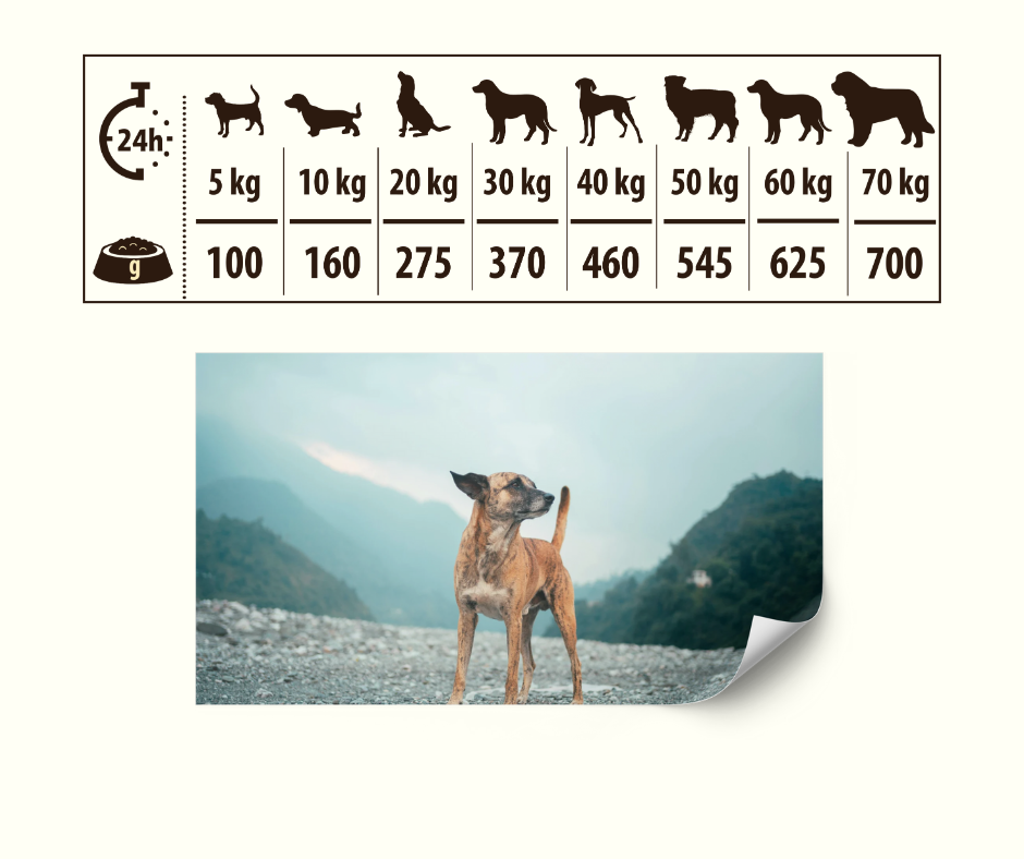 HIGH MEAT Tørrfôr Kylling og Kalkun - Daglig fôringsmengde for middels og store hunder 5-70kg