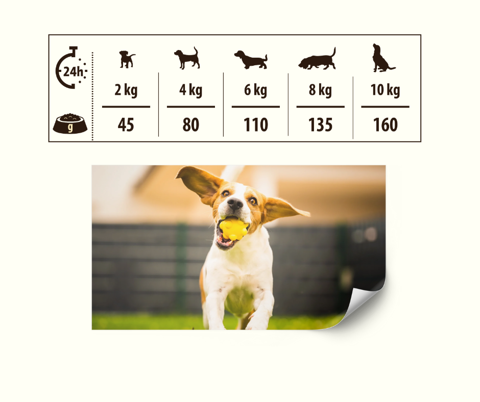 HIGH MEAT Tørrfôr Kylling og Kalkun - Daglig fôringsmengde for små hunder 2-10kg MINI raser