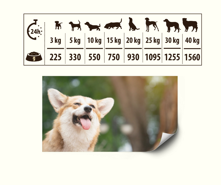 HIGH MEAT Våtfôr dosering - Fôringsguide for hunder fra 3 kg til 40 kg kroppsvekt. Daglig anbefalt mengde våtfôr i gram basert på hundens vekt og aktivitetsnivå.