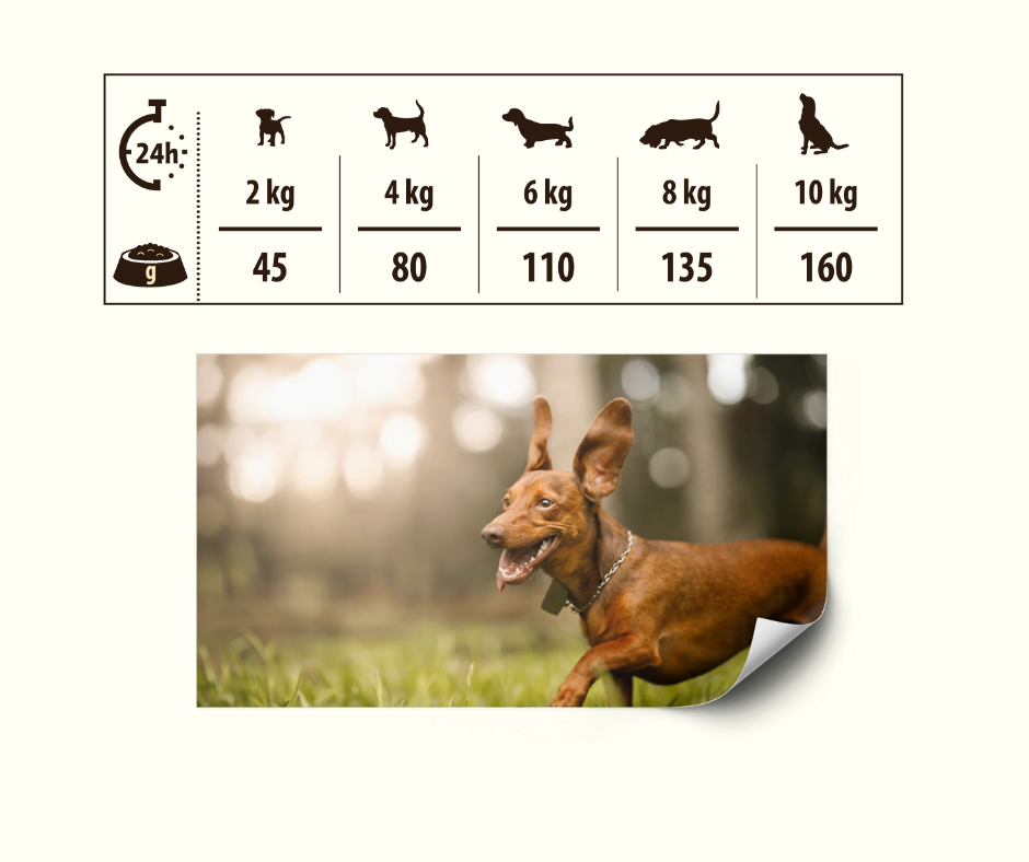 HIGH MEAT Tørrfôr Storfe og Lam - Daglig fôringsmengde og anbefalte porsjoner for små hunder fra 2kg til 10kg kroppsvekt
