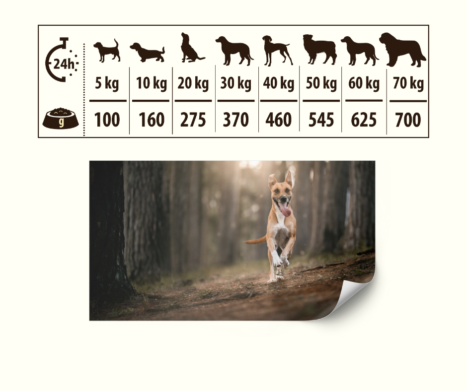 HIGH MEAT Tørrfôr Storfe og Lam - Daglig fôringsmengde og anbefalte porsjoner for hunder fra 5kg til 70kg kroppsvekt