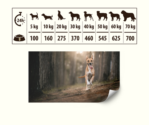 HIGH MEAT Tørrfôr Storfe og Lam - Daglig fôringsmengde og anbefalte porsjoner for hunder fra 5kg til 70kg kroppsvekt